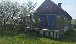 Пустующий жилой дом, г. Добруш, пер. Добролюбова, 2